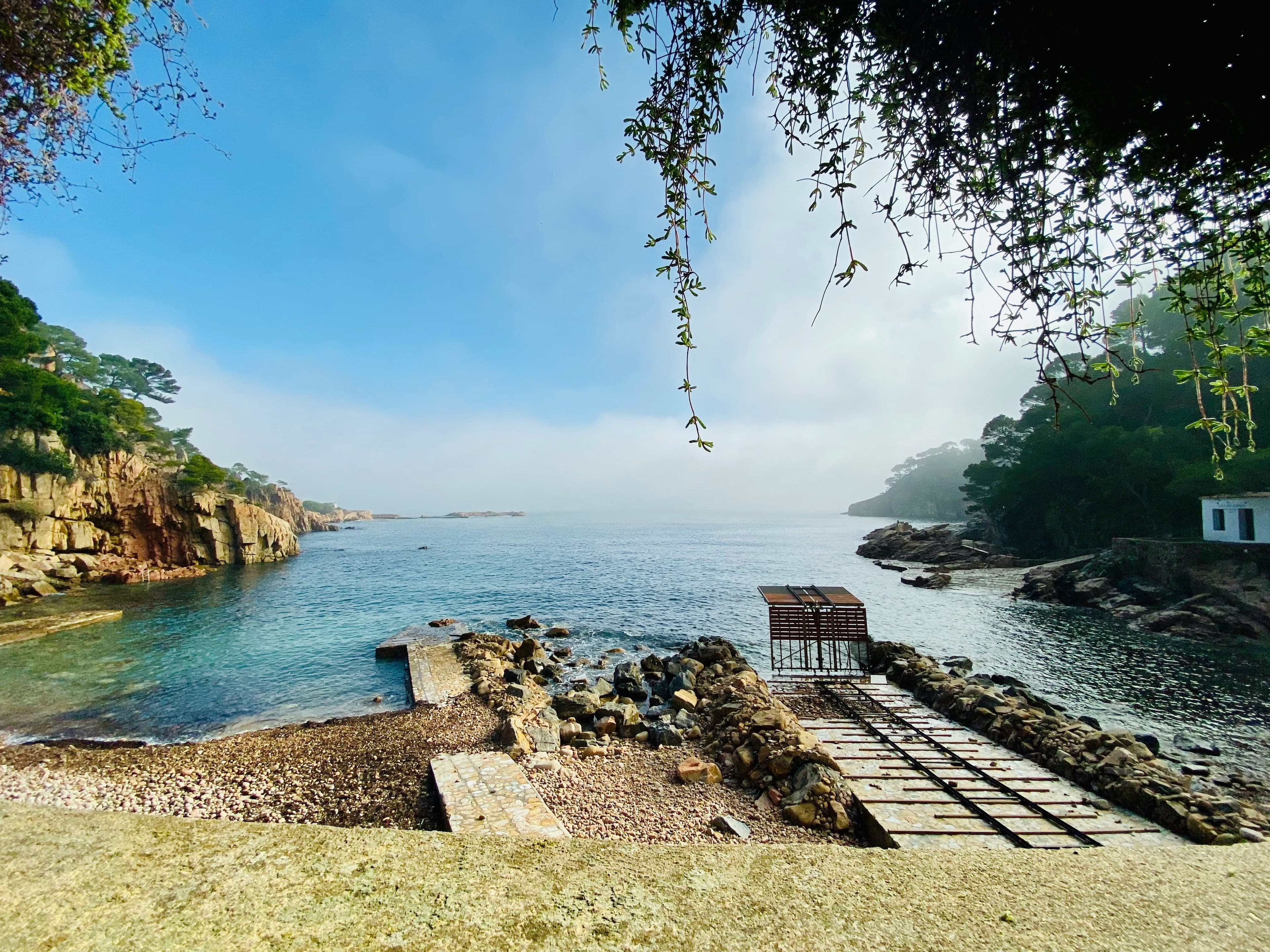 Aguas turquesas y pinares sobre una cala escondida de la Costa Brava