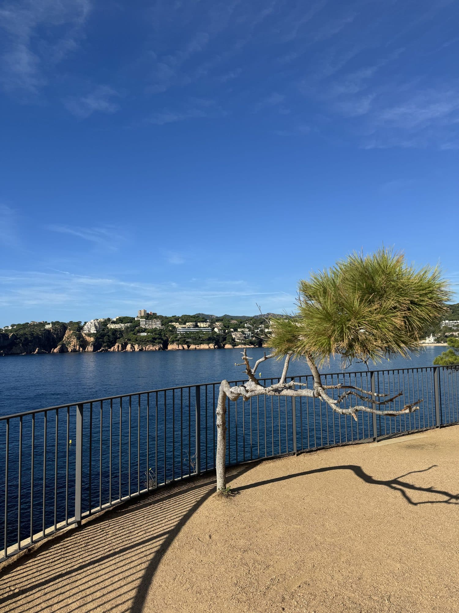 El Camí de Ronda de S'Agaró, con la barandilla sobre el mar y un pino junto al paseo